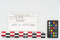 Etikett zu Eisenfragmente (NHMW-PRAE-048323b)